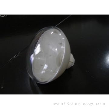 Automobile light